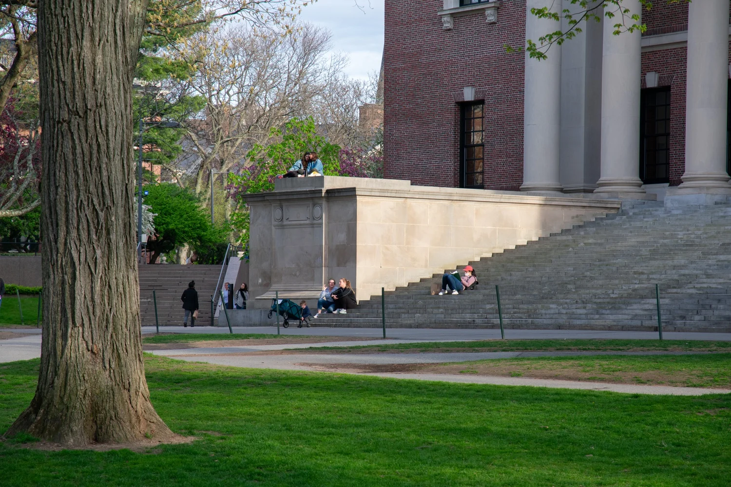 Undergraduates Ramp Up Harvard AI Safety Team Amid Concerns Over Increasingly Powerful AI Models